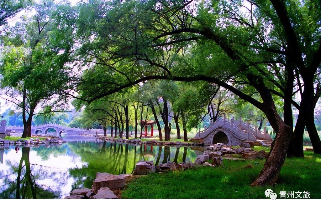 李清照在青州的时光,李清照笔下的青州