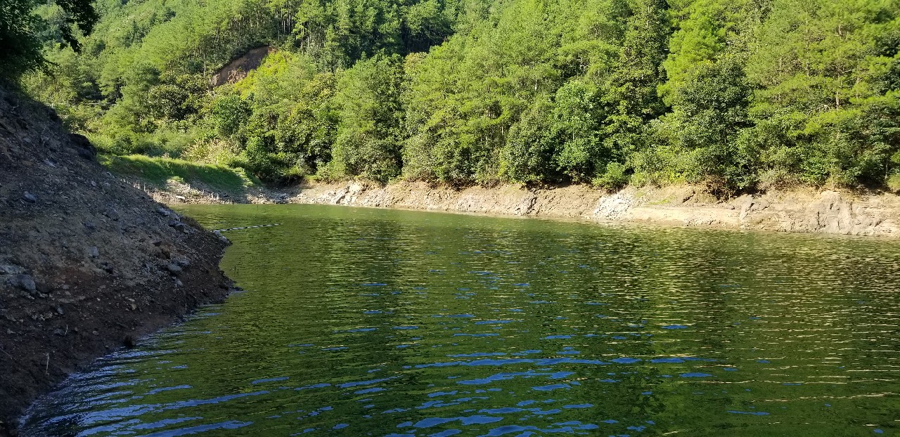 鱼没钓到还把诱饵吃了,鱼没钓到雨还下大了