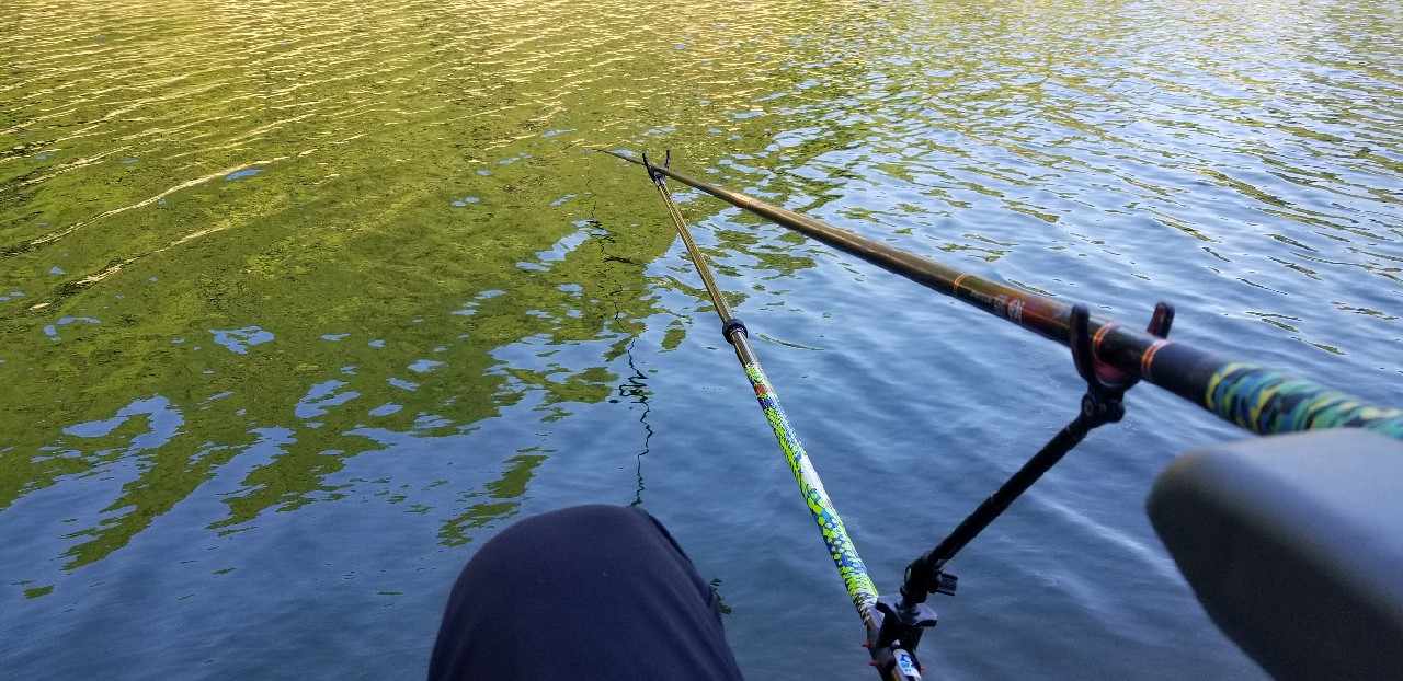 鱼没钓到还把诱饵吃了,鱼没钓到雨还下大了