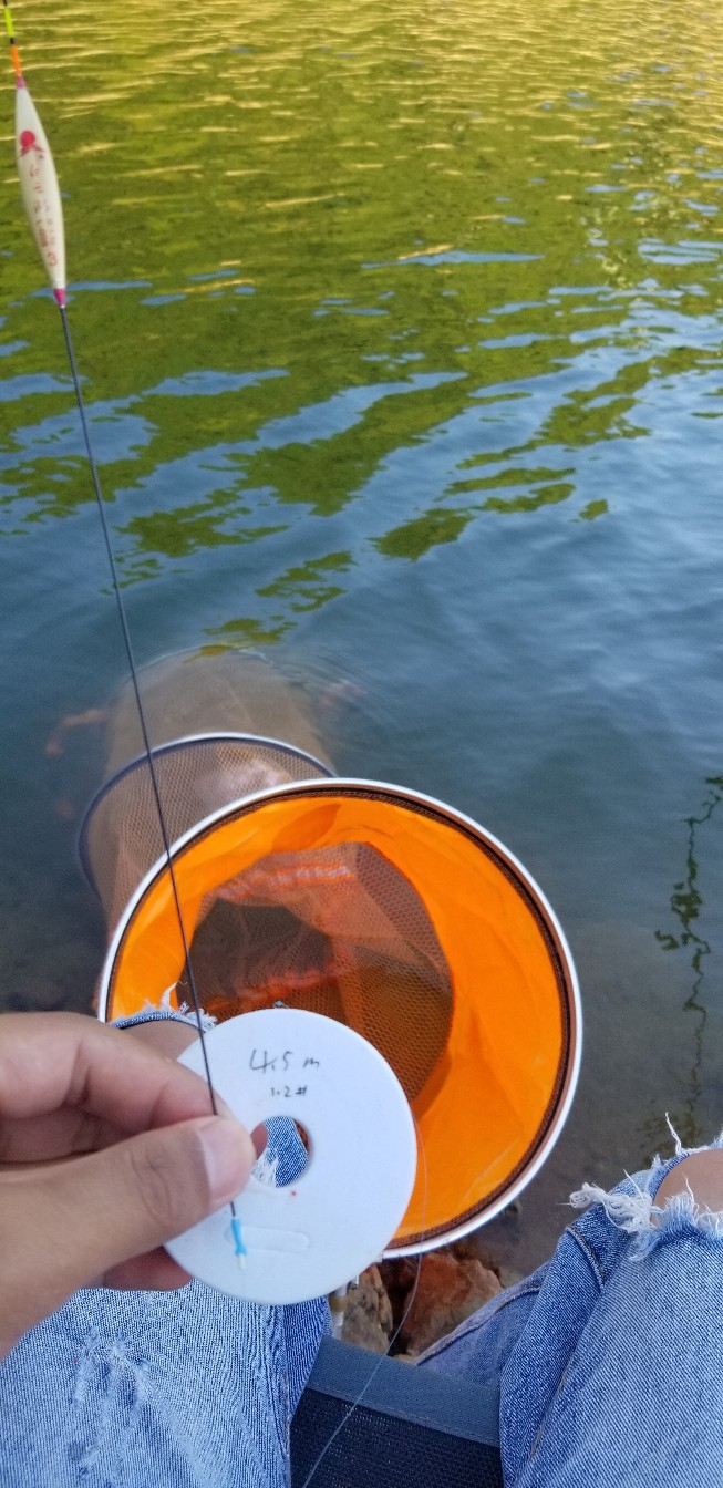 鱼没钓到还把诱饵吃了,鱼没钓到雨还下大了