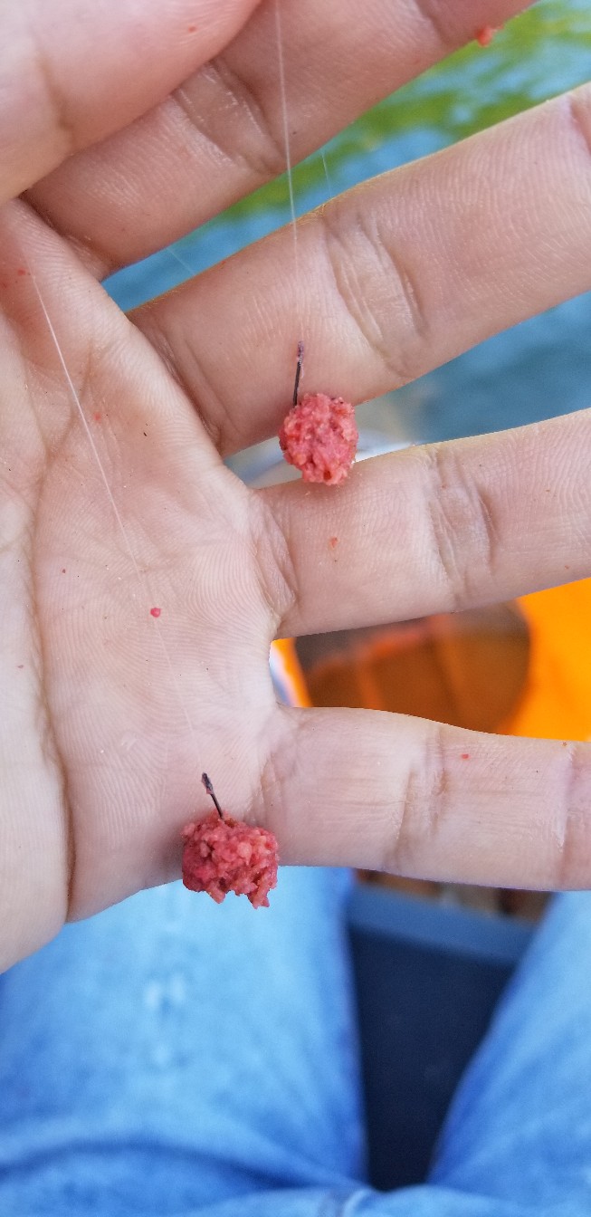 鱼没钓到还把诱饵吃了,鱼没钓到雨还下大了