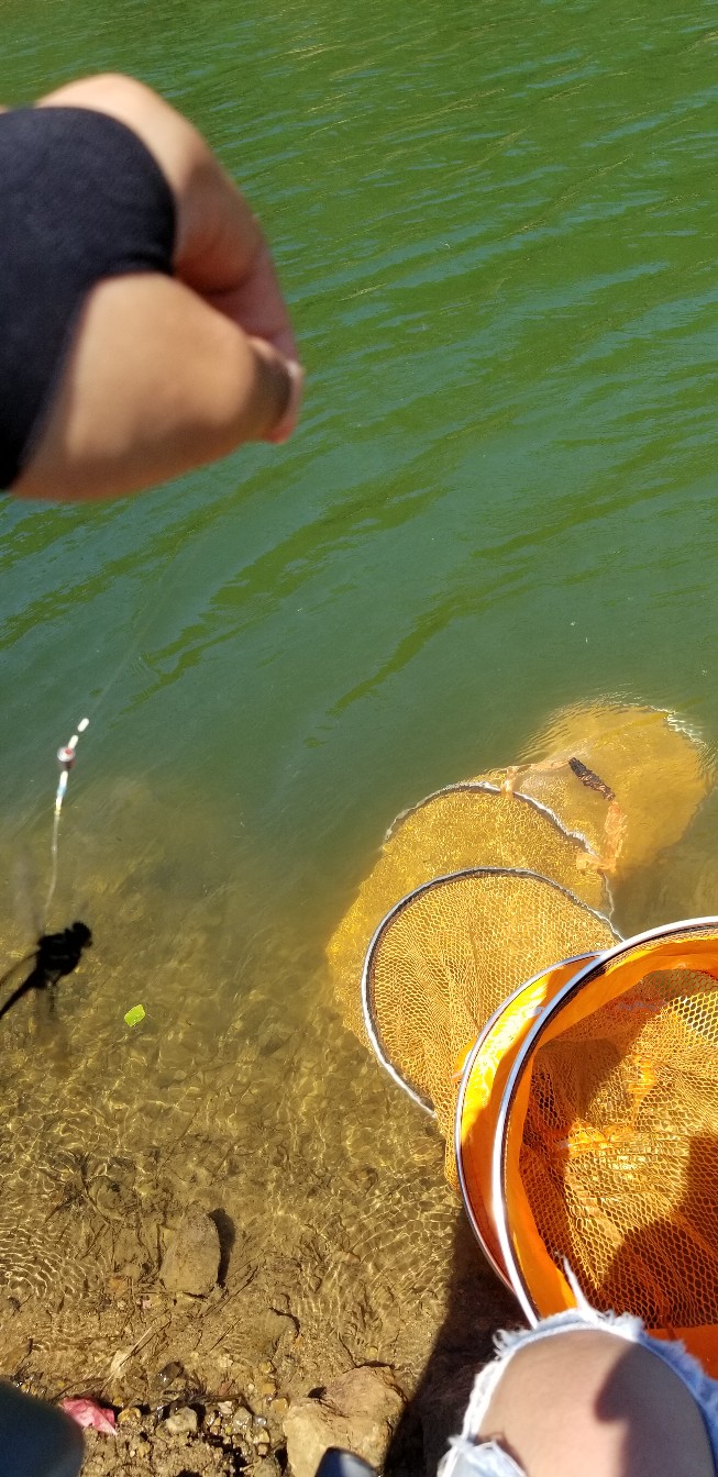 鱼没钓到还把诱饵吃了,鱼没钓到雨还下大了