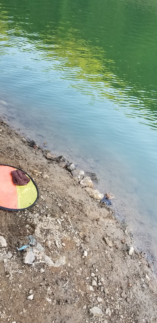鱼没钓到还把诱饵吃了,鱼没钓到雨还下大了