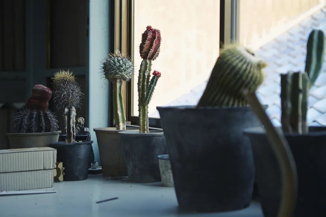 桑田卓郎：一只日式茶碗的爆裂与重构