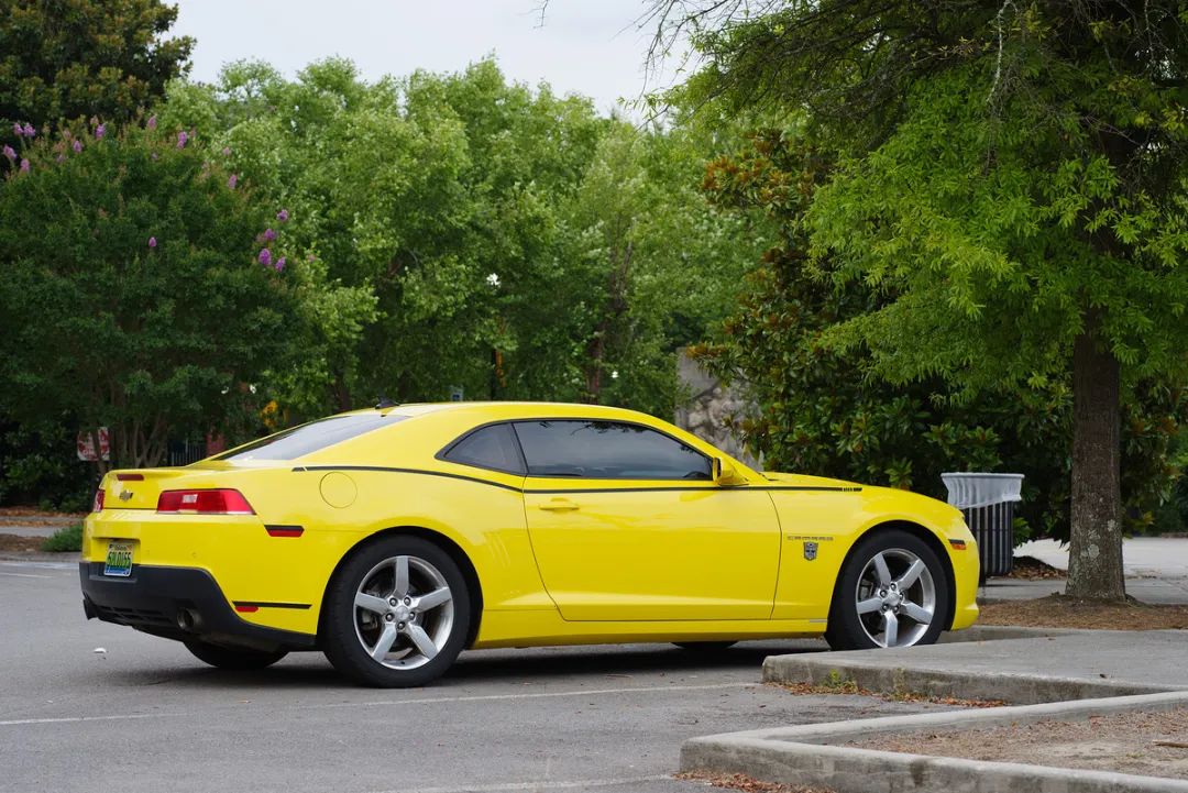 宾得dfa501.4人像样片,宾得da35mmf2.4镜头