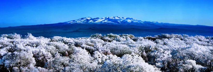 什么是吉星什么是凶星,什么是吉