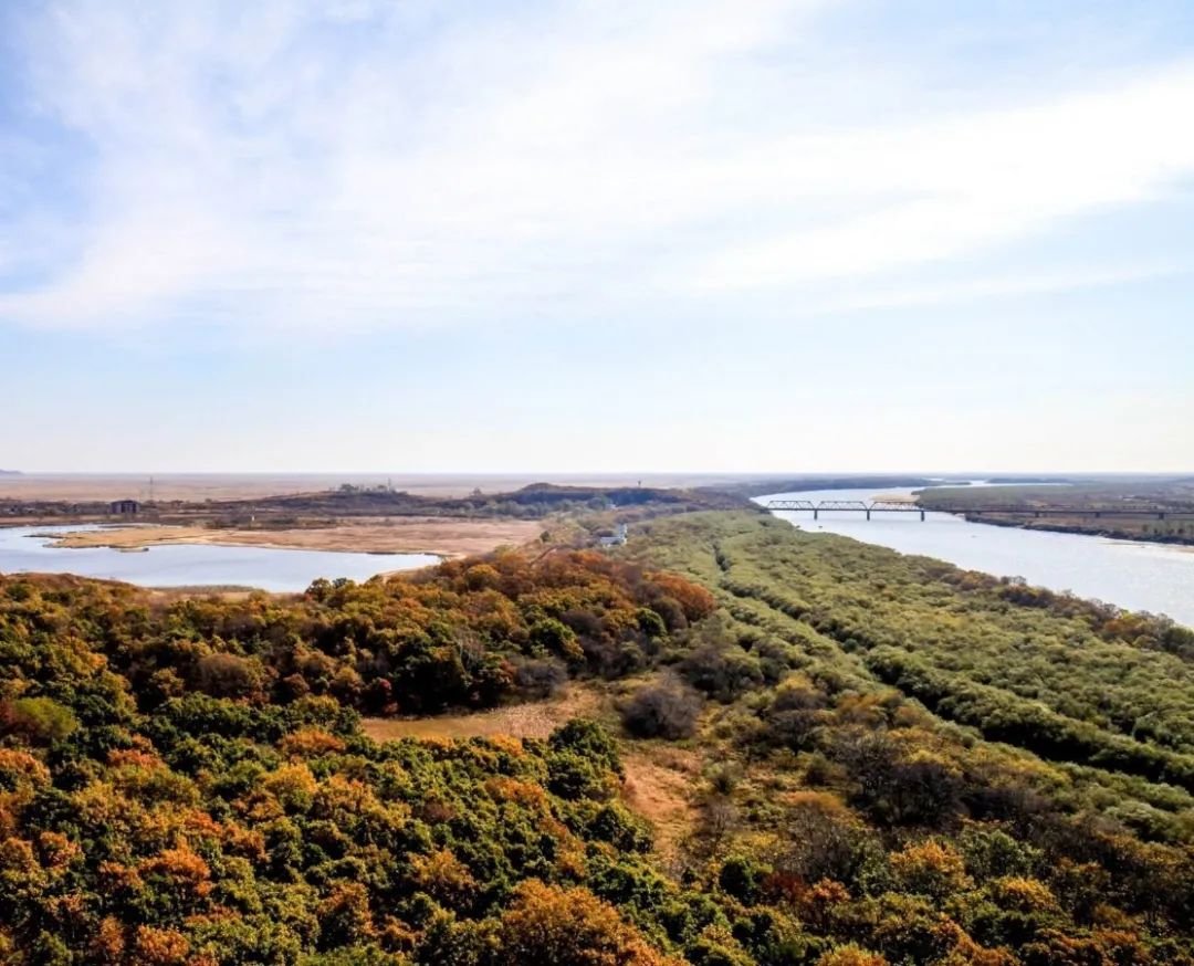 什么是吉星什么是凶星,什么是吉