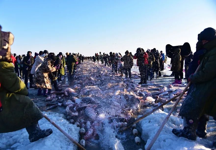 什么是吉星什么是凶星,什么是吉