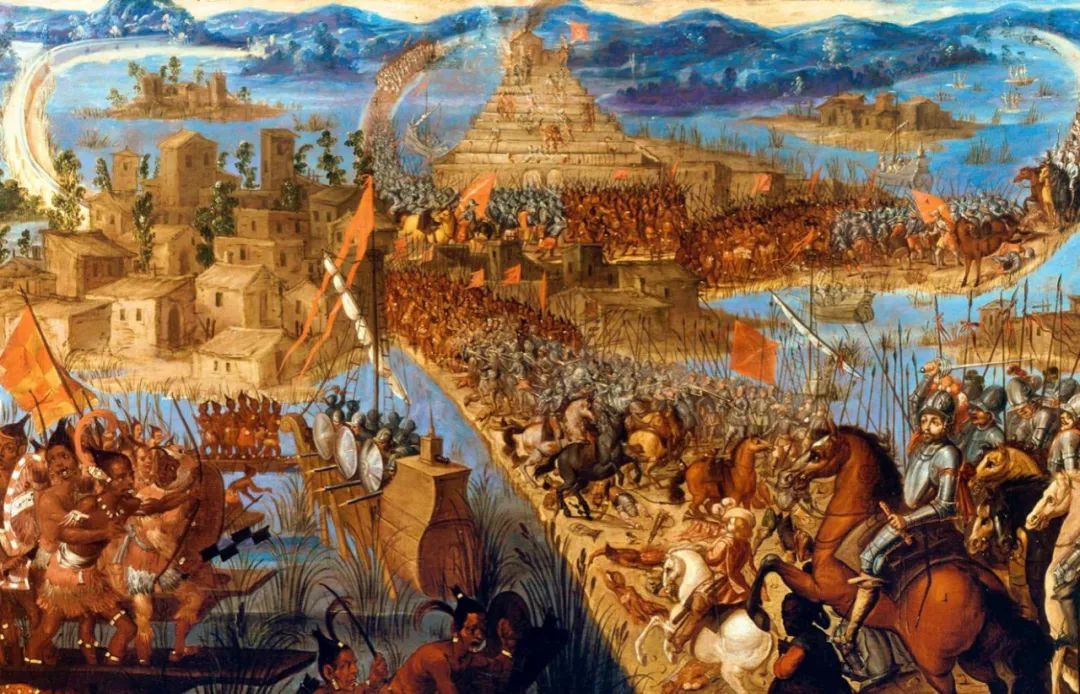 介绍羊驼为什么是神兽,羊驼为什么被誉为神兽