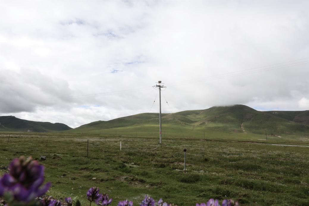 国家电网生物质发电项目,国家电网鸟巢