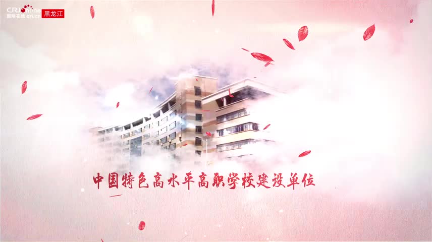 哈尔滨职业技术学院创新创业,哈尔滨职业技术学院哪些能升本