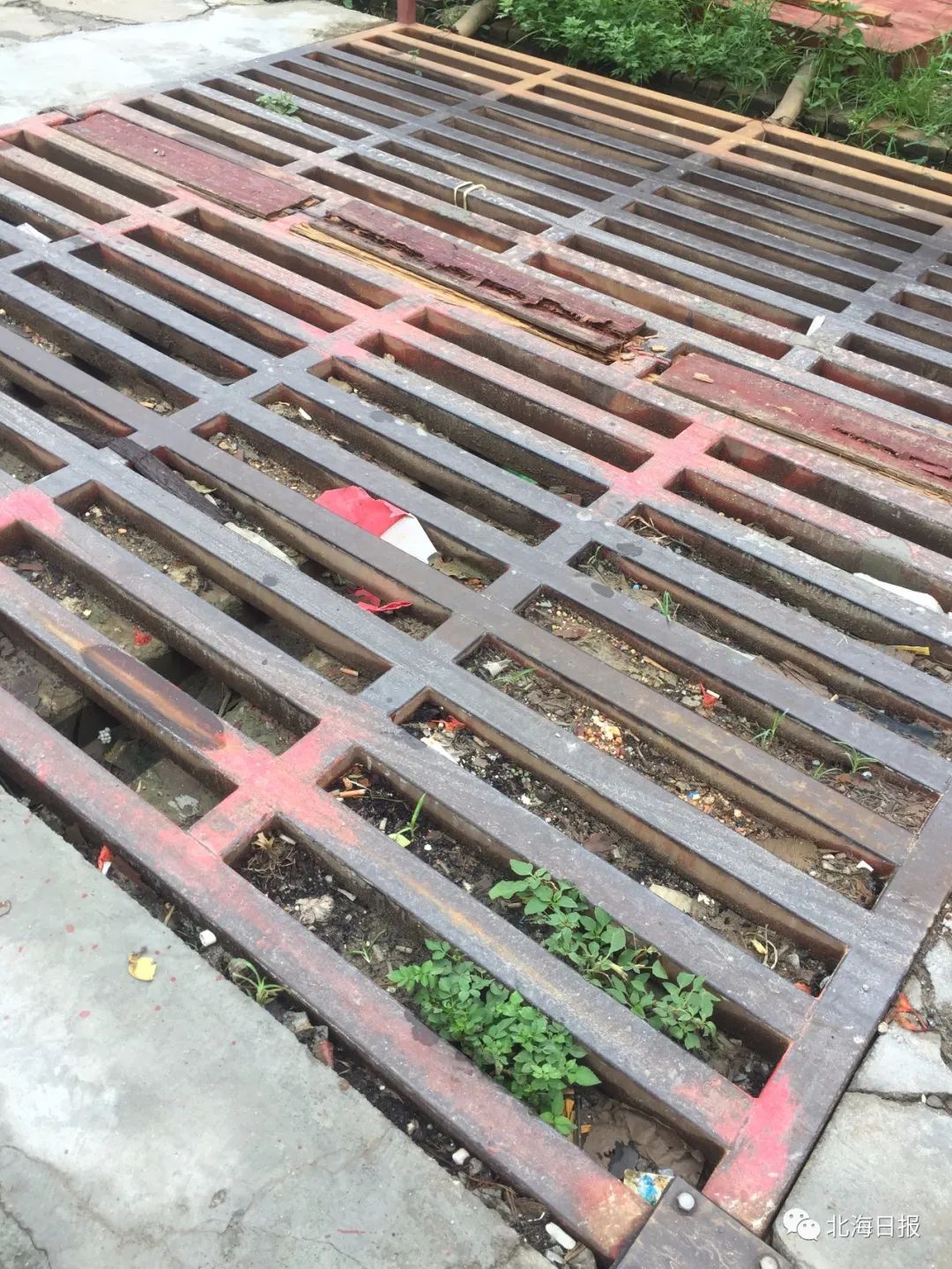 创城不文明行为曝光台,创城曝光台又一波不文明行为曝光