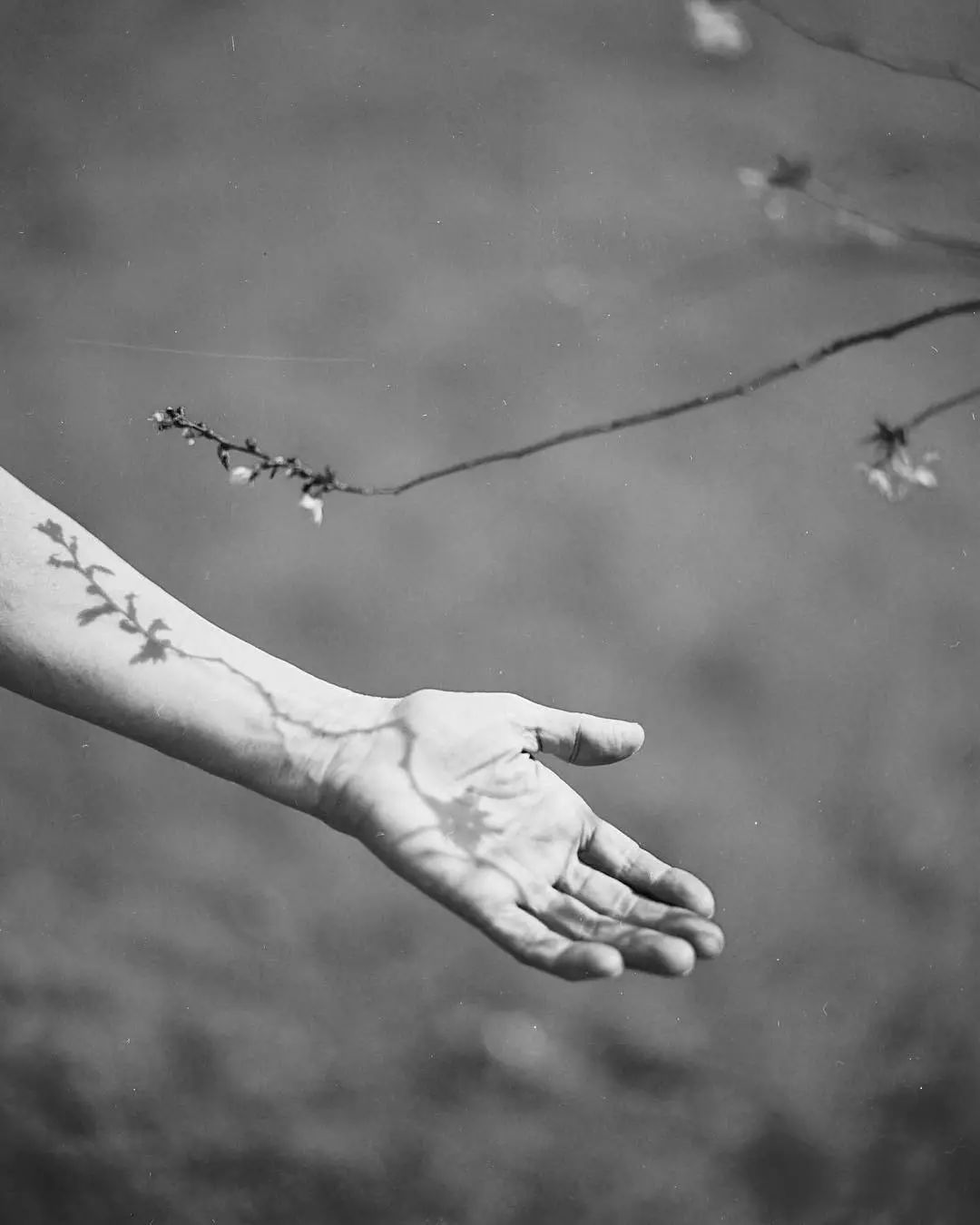 100种拍照片的姿势,10种拍摄技巧图新手必看