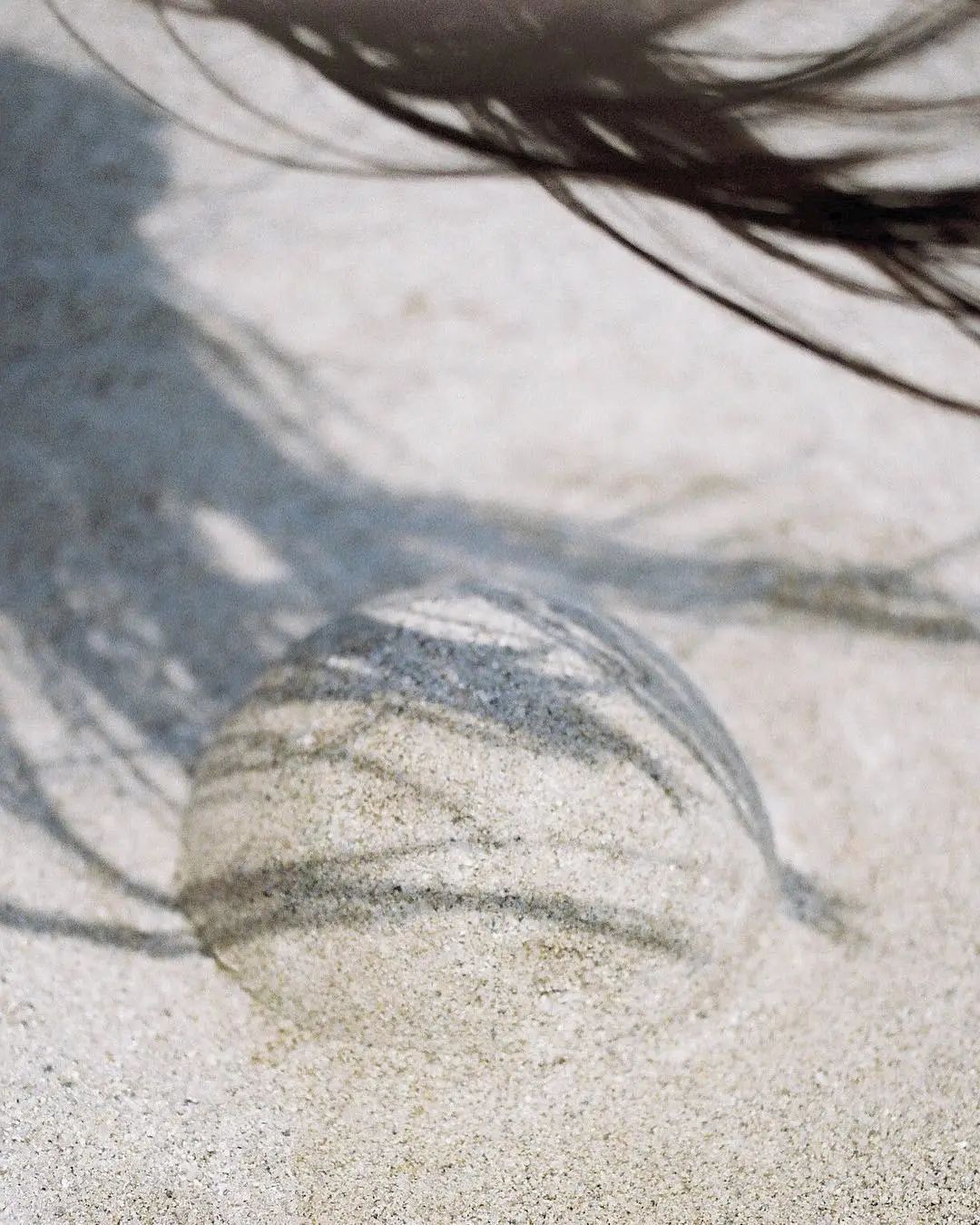 100种拍照片的姿势,10种拍摄技巧图新手必看