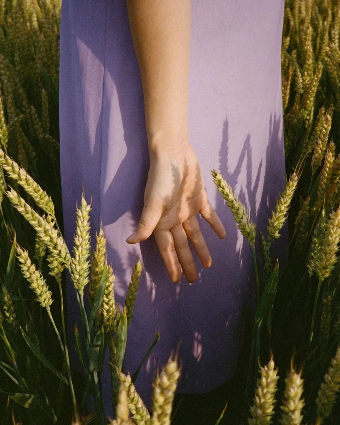 100种拍照片的姿势,10种拍摄技巧图新手必看