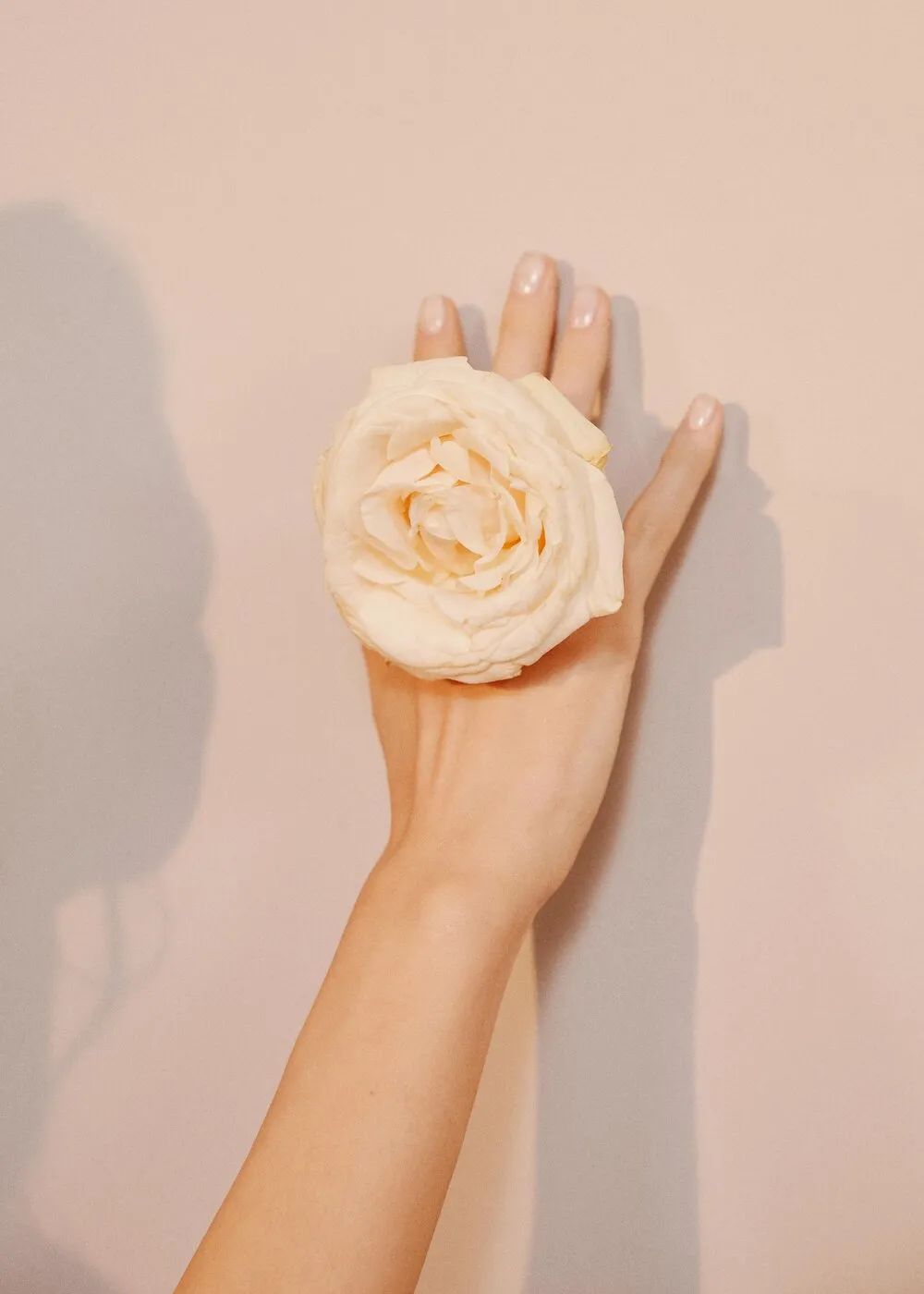 100种拍照片的姿势,10种拍摄技巧图新手必看