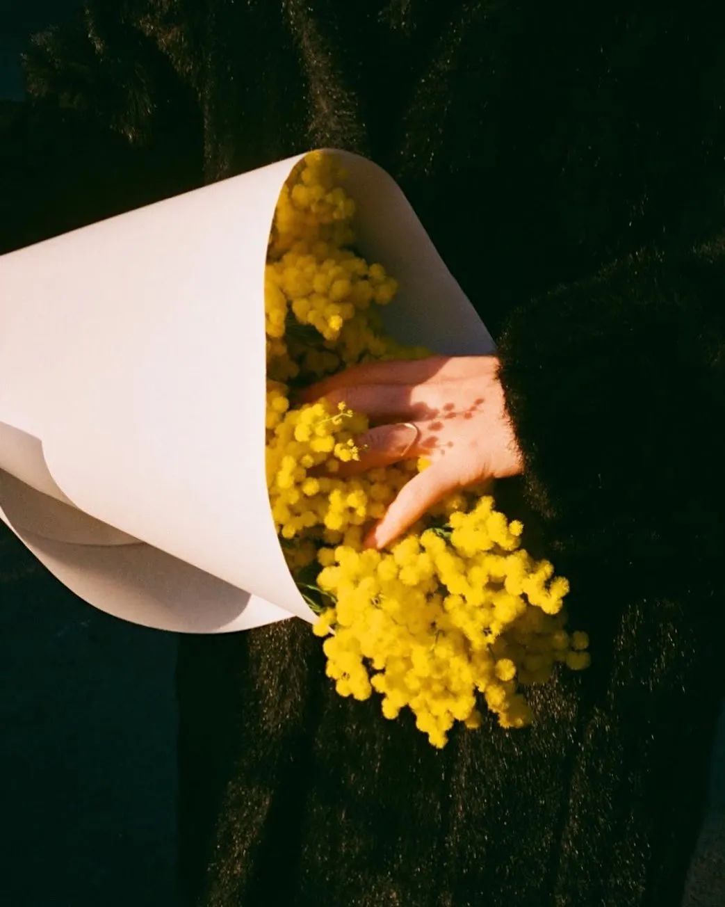 100种拍照片的姿势,10种拍摄技巧图新手必看