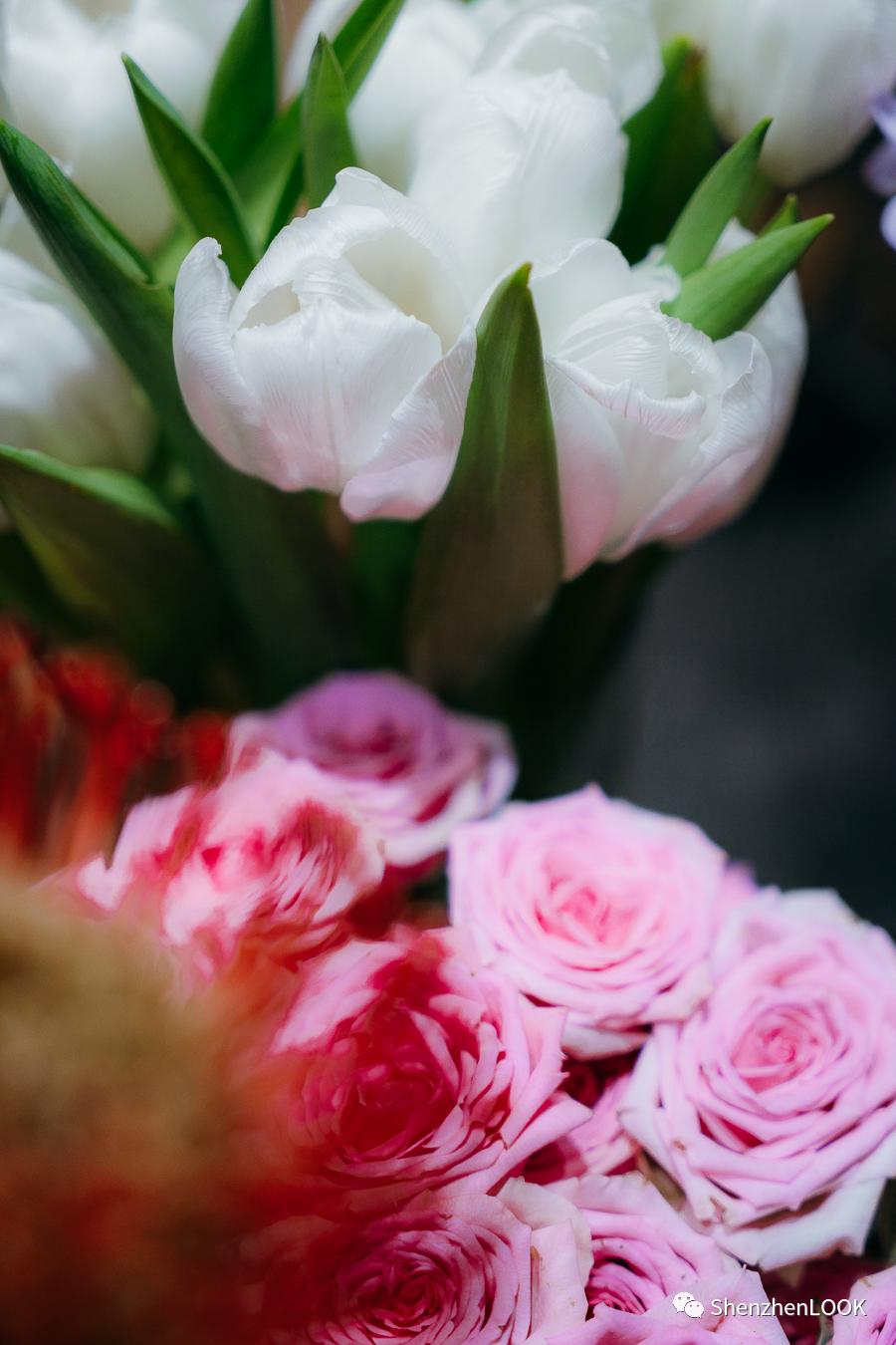 look娣卞湷瀹屾暣瑙嗛,娣卞湷look鑺卞簵