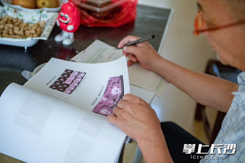 后浪大医精诚新传承版,传承大医精诚践行初心使命