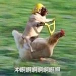 今年吃的第一口月饼,今年的第一口月饼