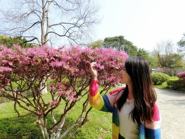 一叶轻舟过烟雨漓江全文,游览阳朔漓江诗词