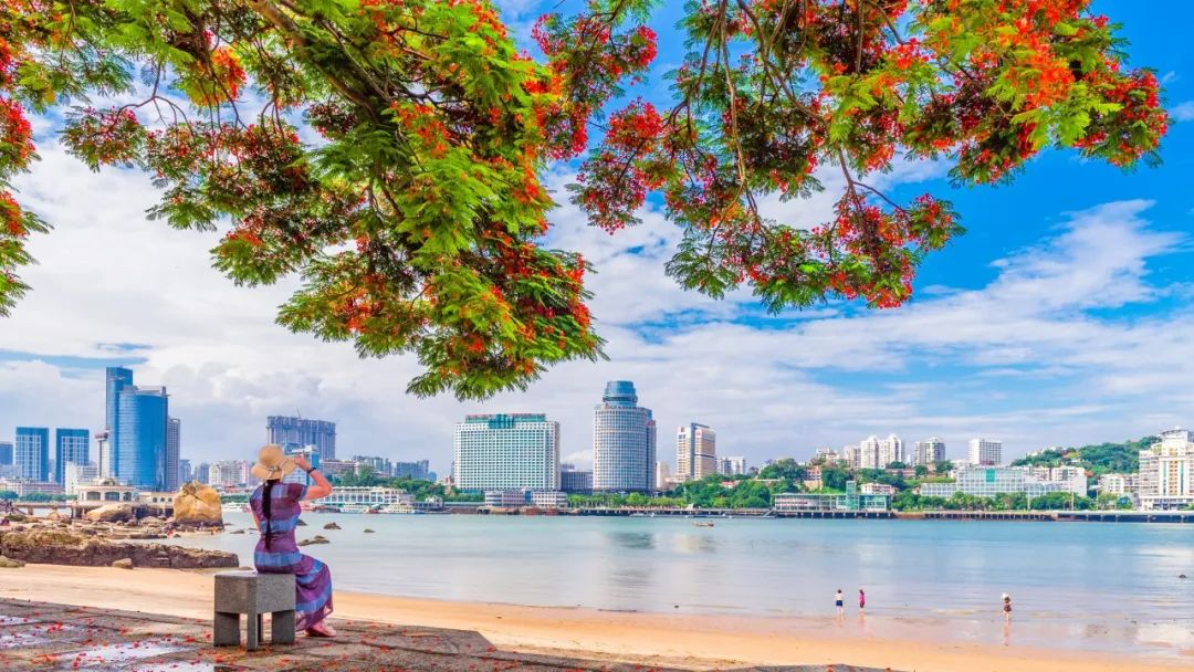 景德镇人在厦门,景德镇人游景德镇