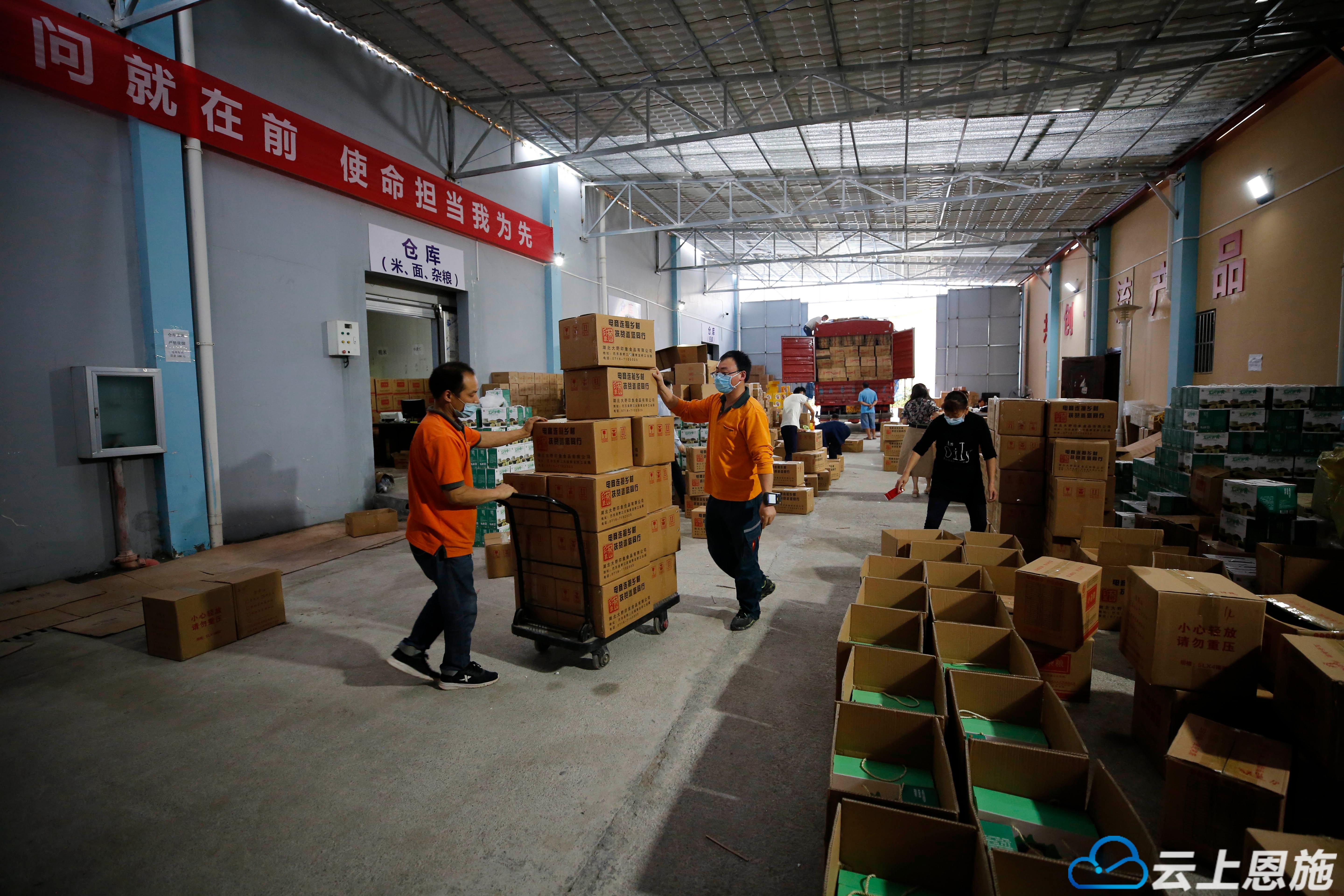 巴东山货怎么样,巴东脐橙山货上头条