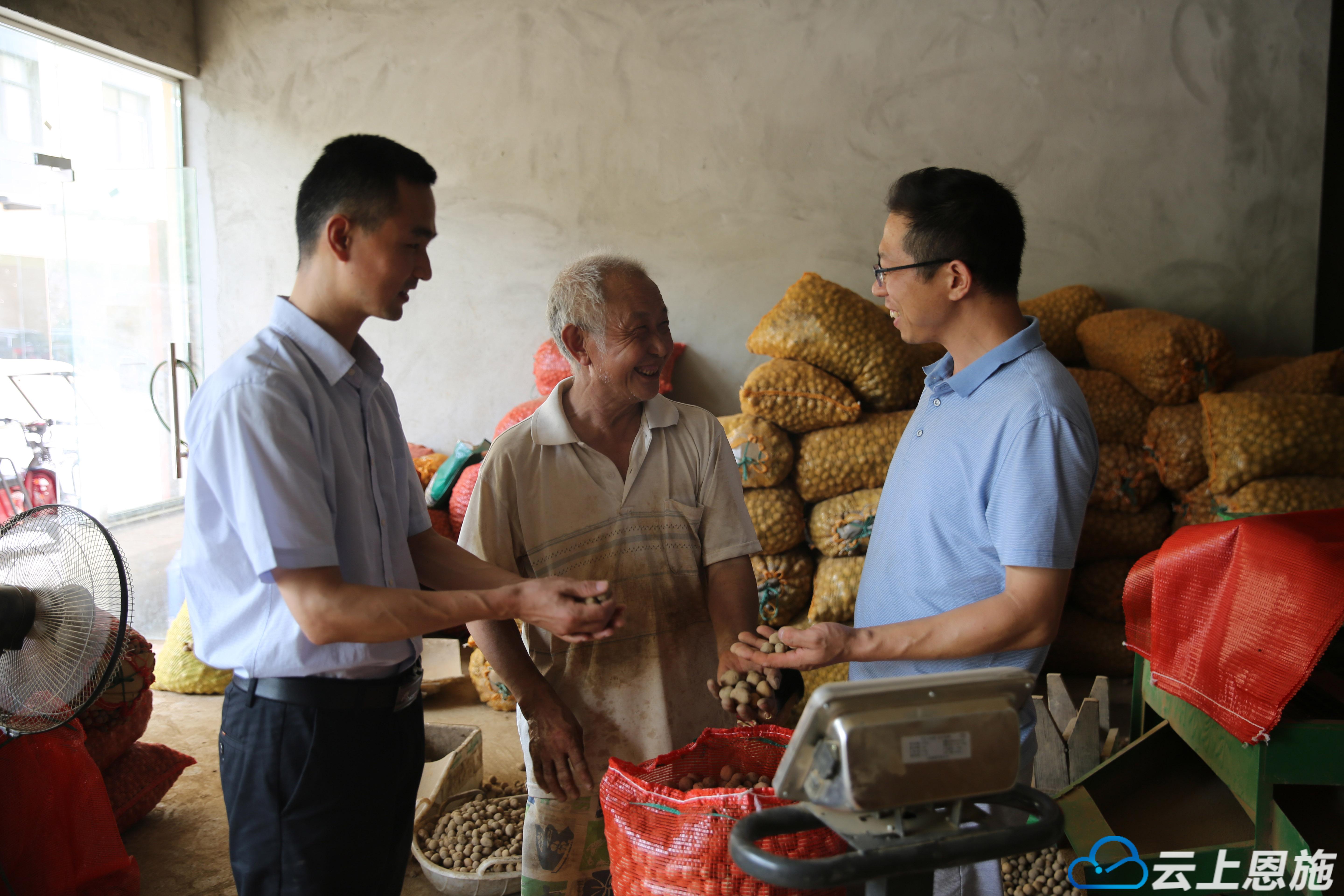 巴东山货怎么样,巴东脐橙山货上头条