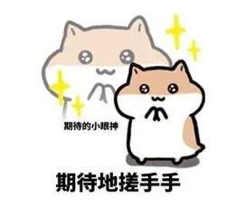 珠海新香洲新建商业综合体,珠海老香洲商业体