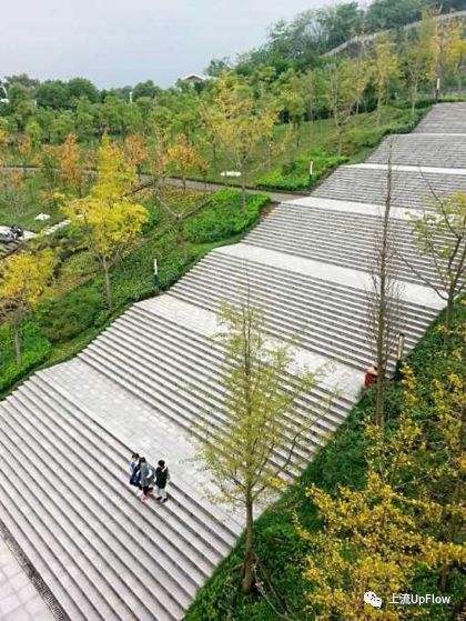 现实中的山顶洞人,中国大学生为什么混日子