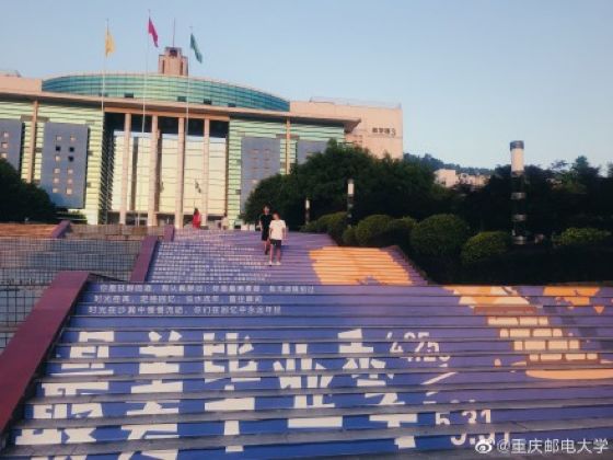 现实中的山顶洞人,中国大学生为什么混日子