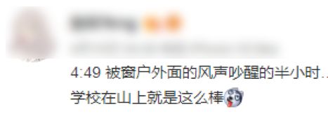 现实中的山顶洞人,中国大学生为什么混日子