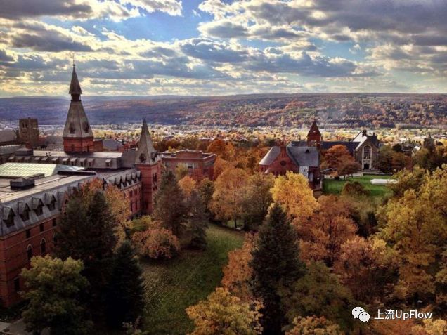 现实中的山顶洞人,中国大学生为什么混日子