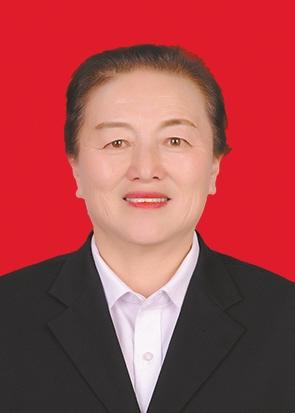 陕西省第六届道德模范颁奖,陕西省第六届道德模范提名奖奖章