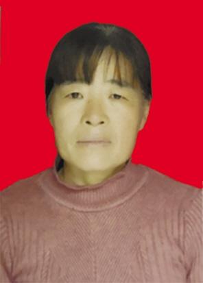 陕西省第六届道德模范颁奖,陕西省第六届道德模范提名奖奖章