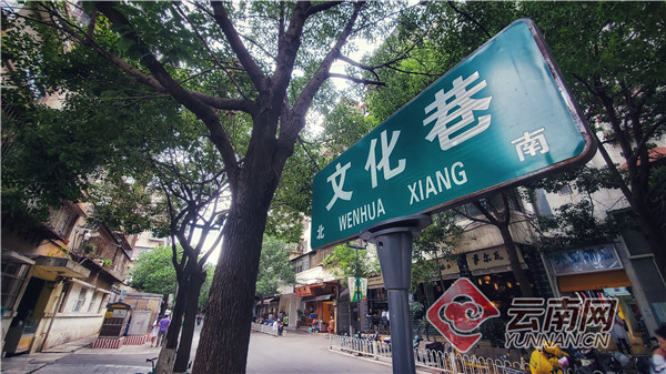 「Vlog·探路」文化巷文林街：照亮昆明城的文艺明珠