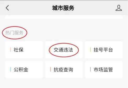重庆高速违章网上交罚款,重庆高速违章几天能查到