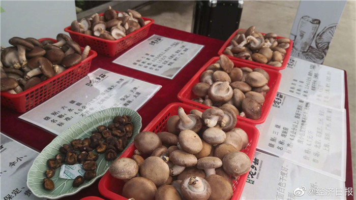 5天行走燕赵，20家媒体记者这样讲述河北小康故事