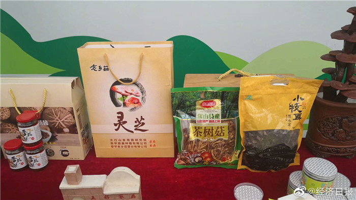 5天行走燕赵，20家媒体记者这样讲述河北小康故事