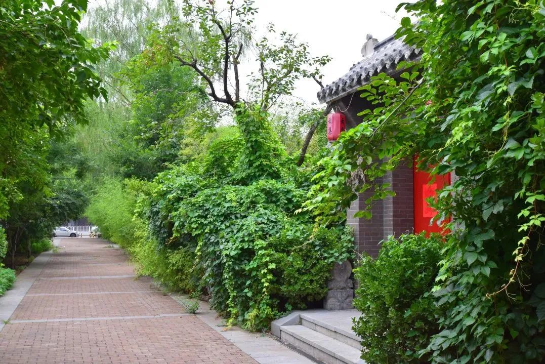 美丽宜居环境建设,北京陶然亭公园风景如画