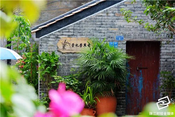 靓！家门口就是花园，里水“她”力量掀起文明新风尚｜“创文”在行动