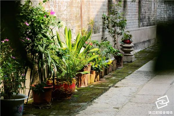 靓！家门口就是花园，里水“她”力量掀起文明新风尚｜“创文”在行动