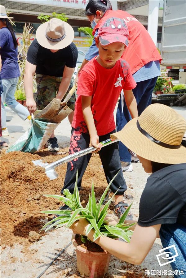 靓！家门口就是花园，里水“她”力量掀起文明新风尚｜“创文”在行动
