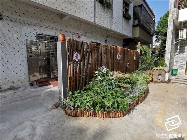 靓！家门口就是花园，里水“她”力量掀起文明新风尚｜“创文”在行动