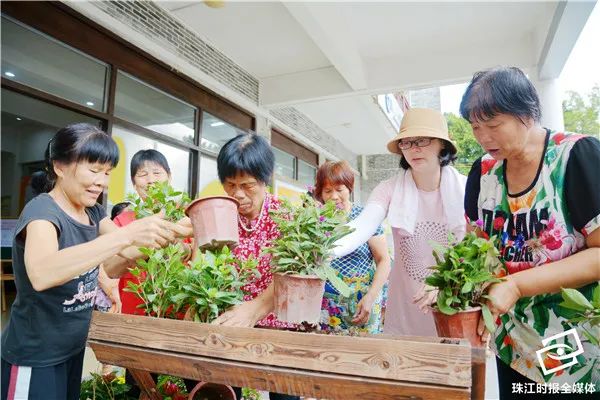 靓！家门口就是花园，里水“她”力量掀起文明新风尚｜“创文”在行动