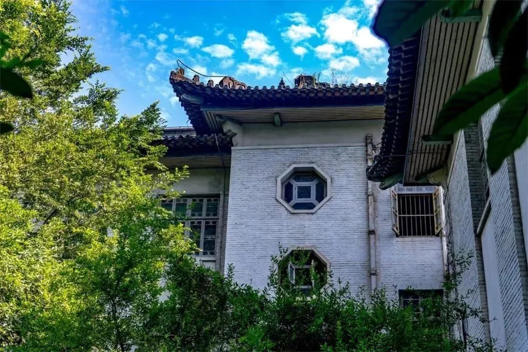 华师的王牌专业,华师王牌专业