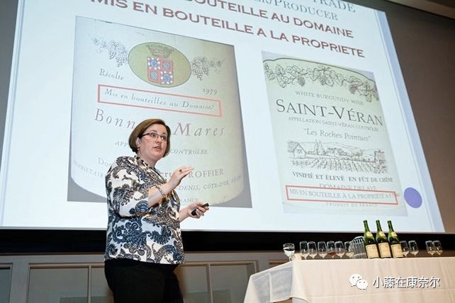 康奈尔福奇事件,康奈尔留学圈事件