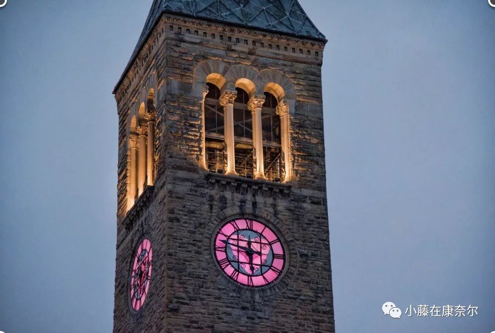 康奈尔福奇事件,康奈尔留学圈事件