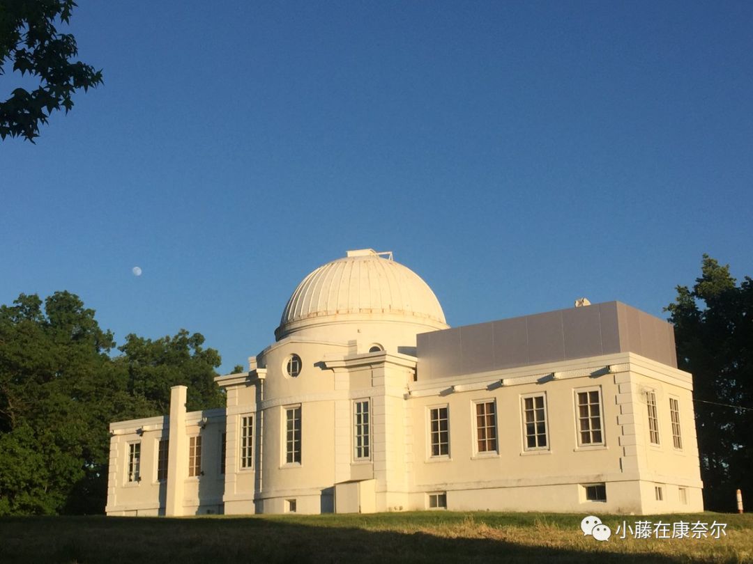 康奈尔福奇事件,康奈尔留学圈事件