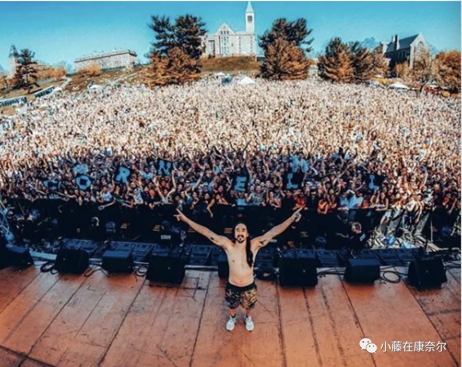 康奈尔福奇事件,康奈尔留学圈事件